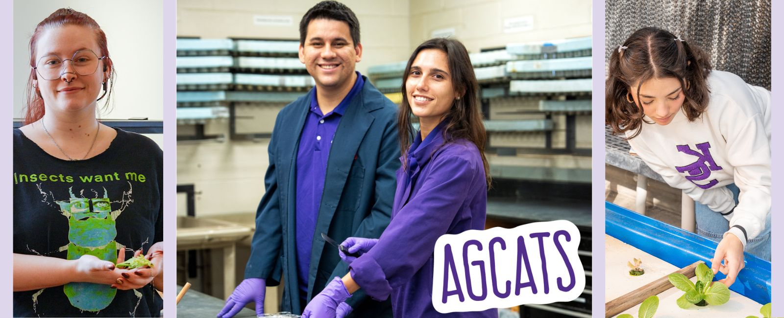 Students in lab